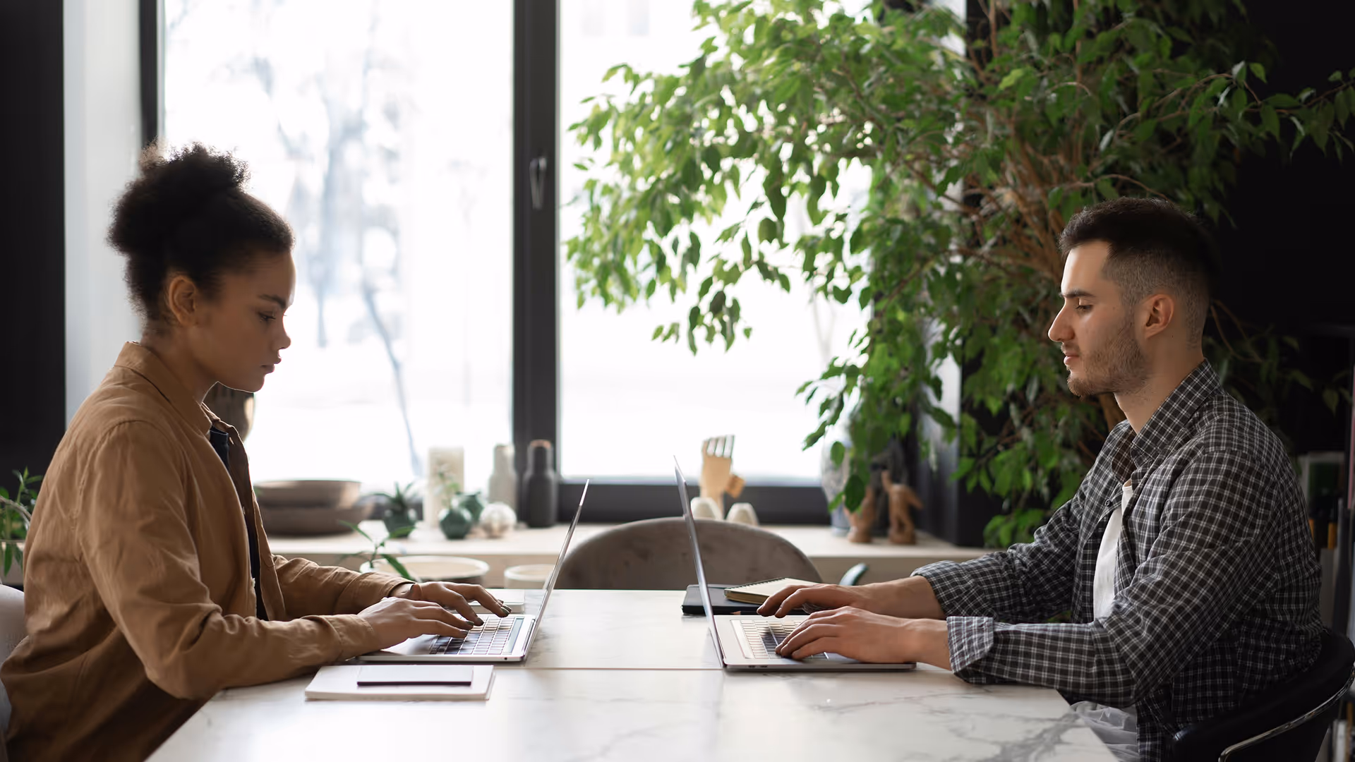 Two people sitting across from each other at a table working on laptops with a large green plant and window in the background.